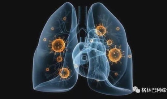 广东佛山新冠肺炎最新消息 新冠性肺炎