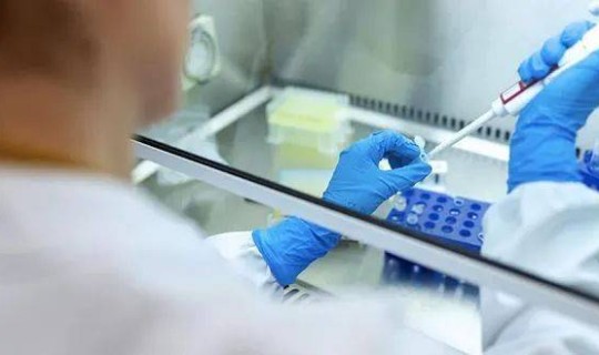 上海新冠肺炎核酸检测(上海市检测中心官网)