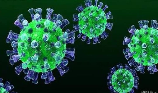 常州市新冠病毒最新消息(人冠状病毒感染传播途径)