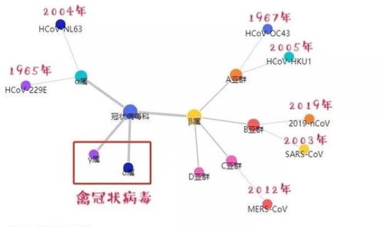 上海新冠肺炎死亡率(新型肺炎的症状有哪些症状)