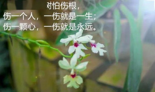 8月疫情说说心情短语人生感悟 人生感悟的句子简短的