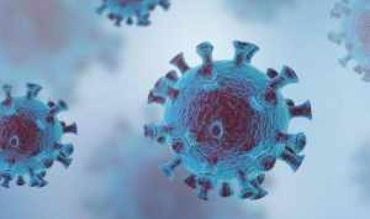 世卫组织变种病毒 世界卫生组织艾滋病