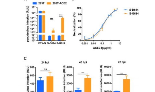 北京新冠病情最新消息？北京新一轮病毒