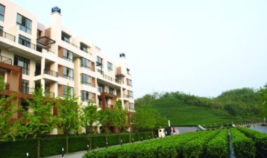 茶园在哪个区？茶园属于哪个街道