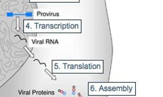 北京几例感染者，北京现在有什么病毒感染