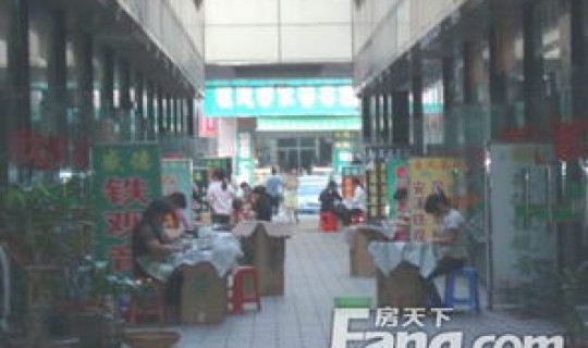 深圳龙新人才市场，深圳大型正规的人才市场有哪些