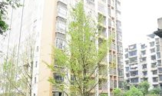 永川最新消息？永川最新消息今天封城了吗