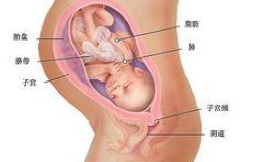 郑州四个月大婴儿获救了吗？四个月的胎儿生下来可以存活吗