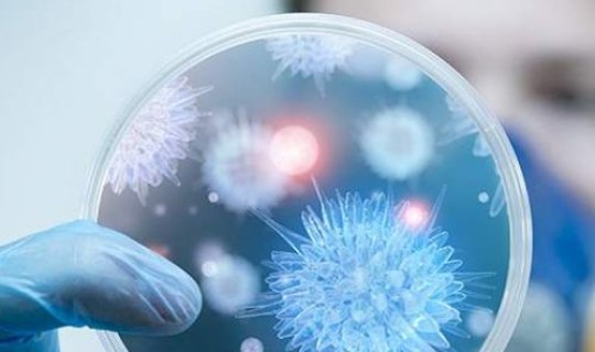 以后还会有更厉害的病毒吗 病毒有好的吗