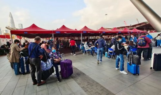 深圳公交车核酸，在深圳用什么查公交的实时动态