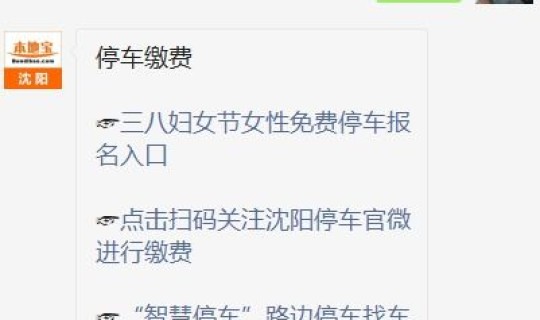 沈阳停车位规定 沈阳市路边停车规定