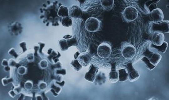 武汉不明疫情 武汉出了什么病毒