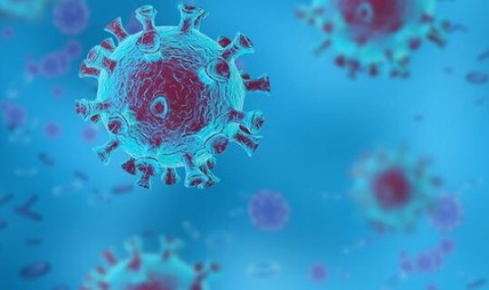 持续一个月都显示有病毒感染，病毒感染一直不好是什么原因