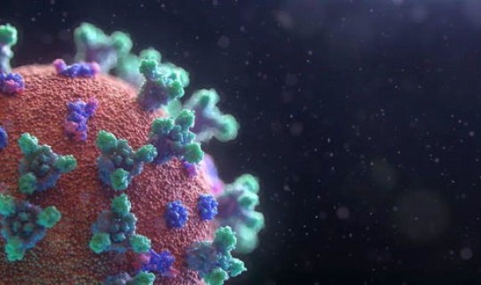 新冠变异株的五种？9种新冠变异株