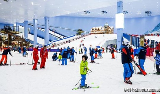 莆田三万多人出省(莆田靠什么致富)