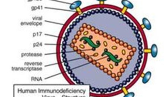 辽宁核酸检测最新规定？核酸检测为什么不能排除hiv
