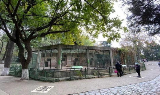 南京疫情最新近况？亏损3000万的南京红山森林公园近况如何