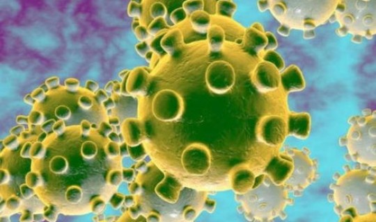 印度变异病毒株症状，印度发现双重突变新型变异新冠病毒