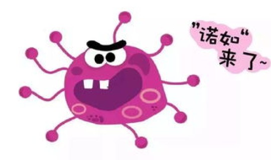 最新病毒上吐下泻是什么病毒？诺如病毒是什么东西