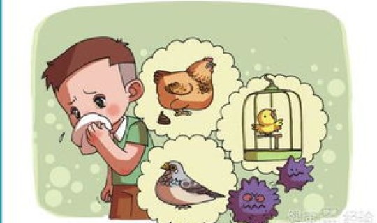 h7n9禽流感传播途径有哪些(h7n9的传播途径有哪些)