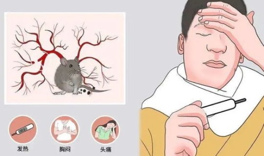 陕西出血热？为什么今年西安出血热较往年增加