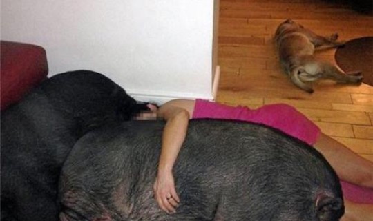 上海公租房同住人规定	，公租房怎么添加同住人