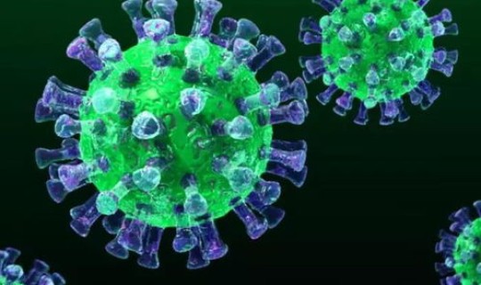 中国新冠病毒感染城市，冠型病毒症状