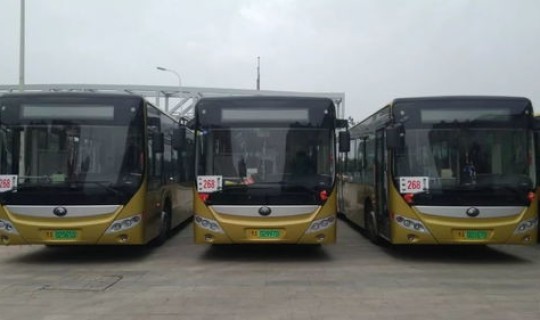 哈尔滨新开通公交线路，哈尔滨公交大全