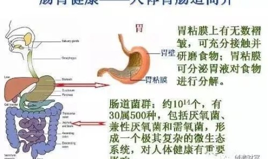 江西用不用做核酸(三个月后还要做核酸吗)