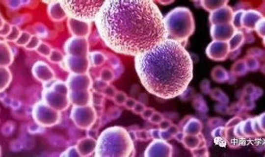 上海新冠肺炎复阳(肺炎衣原体阳性怎么治疗)