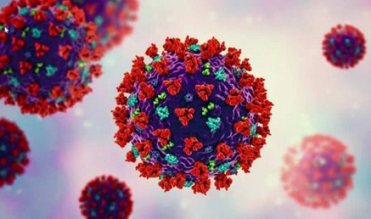 美国感染者 美国的病毒会传染到中国吗