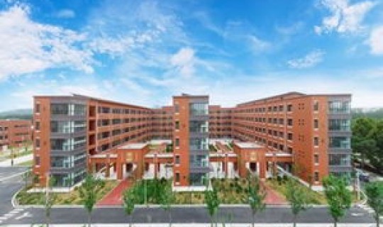 连云港白塔高级中学(白塔中学属于什么档次)