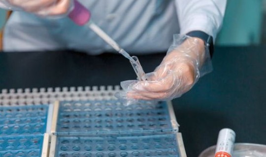 上海核酸排查地点查询 上海紧急核酸检测点