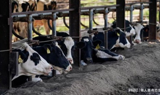 美国感染禽流感最新消息(哪里有禽流感最新消息)