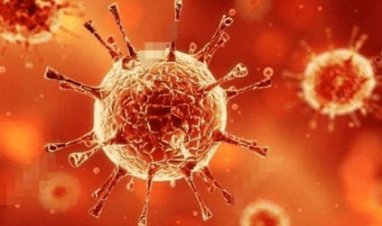 中国疫情最新消息今天(印度病毒最新消息今天)