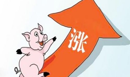 茂名疫情最新消息今天新增 茂名地区今日猪价行情