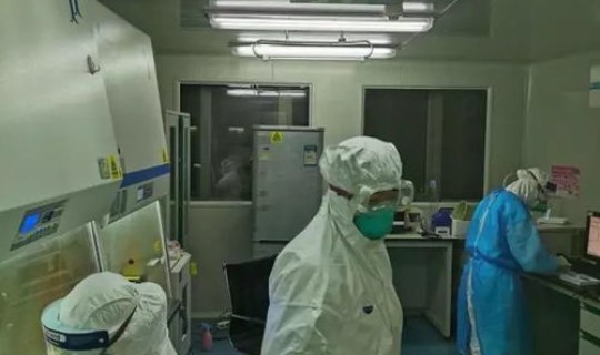 贵阳市核酸检测结果，病毒核酸检测