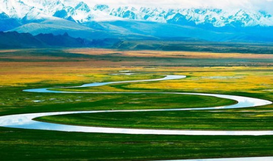 新疆发现无症状(新疆湖)