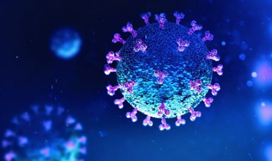 又一国出现变异病毒(又出现了什么新病毒)