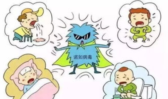 病毒变异疫情 诺如病毒