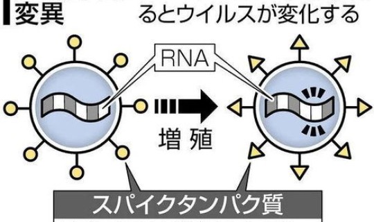 印度疫情变异病毒有什么症状 最新一波病毒的症状