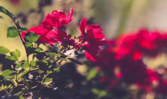 重庆疫情出现三个下降是什么原因？重庆疫情最新消息