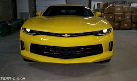 科迈罗大黄蜂？科迈罗大黄蜂多少钱