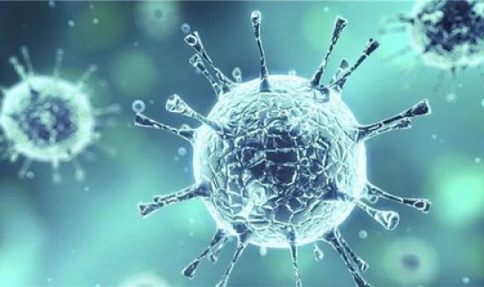 第二波新冠肺炎什么时候来临的 新冠肺炎是哪天开始的