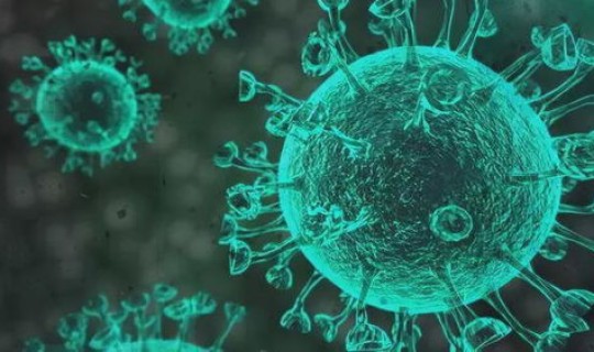 第二波新冠病毒最新消息，冠状病毒感染怎么治疗