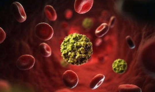 江苏病毒的源头 诺如病毒