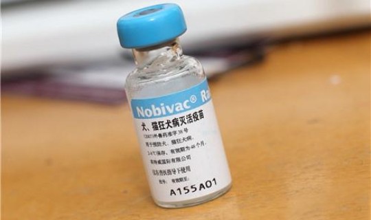 海珠区防疫情况最新消息 海珠区狂犬疫苗24小时接种点