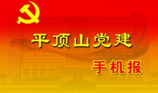 平顶山公示最新消息今天 平顶山党建