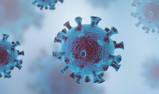 新冠最早是哪一年？最早新冠病毒从哪来的