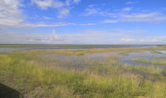 新巴尔虎右旗概况？新巴尔虎右旗属于哪个市